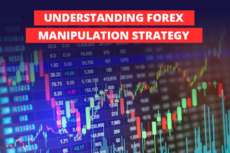 5 Best Forex Signal Providers in 2024 | CoinCodex